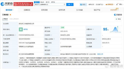 湖北丹江大數據公司成立，5億注冊資本瞄準數據處理服務新藍海